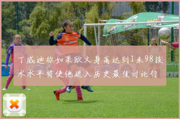 丁威迪称如果欧文身高达到1米98技术水平将使他进入历史最佳讨论行列