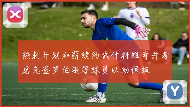 热刺计划加薪续约武什科维奇并考虑免签罗伯逊等球员以助保级